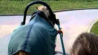 на лошадке 29.07.12