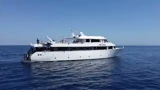 MV Tala in Ras Mohamed