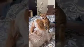 Ох уж эти девочки☺️