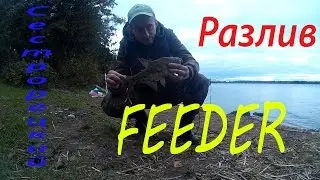 Рыбалка / Сестрорецкий разлив / Фидер / 17.09.2016