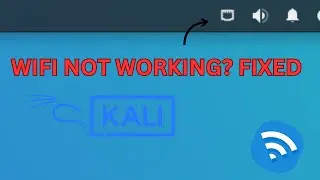 Kali Linux VMware Workstation bridge network connection issue resolved using Virtual Network Editor