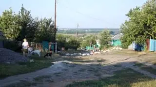 Деревня Виды+лайфы