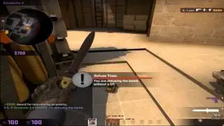 Dingus Fiesta 5