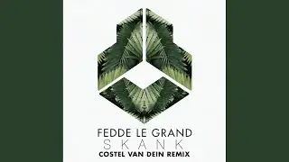 Skank (Costel van Dein Remix)