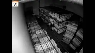 Camera 9: 11/5/2024 (5:59:21 AM Start)
