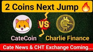 ⚠️ CateCoin & Charlie Finance Latest News | Catecoin Latest news | CHT latest news |