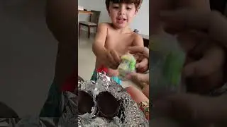 Abrindo o ovo de Páscoa. mais Feliz com o brinquedo do que com o chocolate .