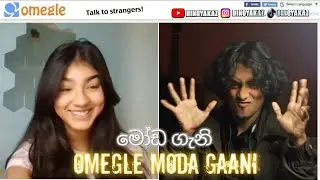 I Found A Cute Girl on OMEGLE🥰 | Dinoyakaz