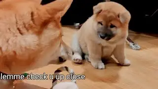 he can't stop sneezing!!
