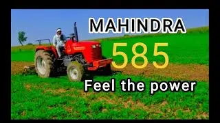MAHINDRA 585power steering tractor 🚜🚜#mahindra