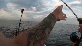 Каменный окунь с сапа на чёрном море