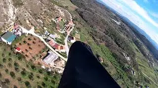 Queijadinhas de Santiago