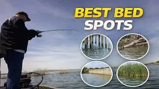 Spawning Bass Location Made Simple | Bass Fishing