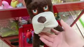 ЛОВЛЮ КЛАССНУЮ СОБАКУ В АППАРАТЕ ИГРУШЕК 🐕‍🦺