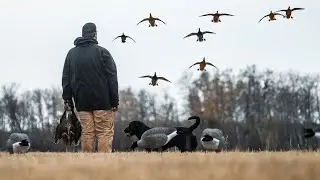 The Ultimate Saskatchewan Duck Hunt