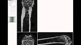 Bruker microCT training video: reorient a dataset in 3D with dataviewer