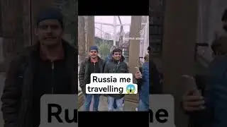 Russia animals travelling 