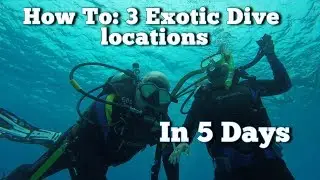 How to SCUBA Dive 3 Exotic Countries in one week