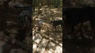Actual playing!