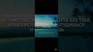 6 сентября 2024 г.