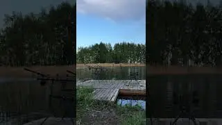 #carpfishing #карповаяловля #карповаярыбалка #карпфишинг #fishing #бойлы #рыбалка #соревнования
