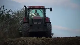 Siew słonecznika!!! Case MX135  Tolmet c330 amazone