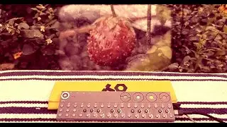 Heart Bee | OPZ