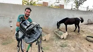 Hmari Horse Ki Riding Kit Agai 😍