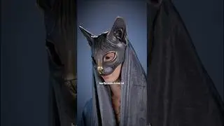 I made a Sphynx cat inspired mask 