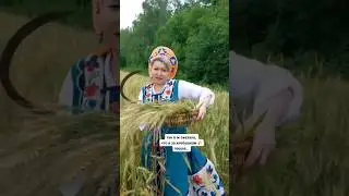 #вайны