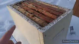 Зимовка мини-нуклеуса и его подкормка ФГСом. Зимовка шестирамочников.