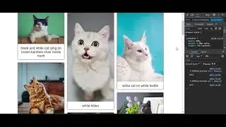 Unsplash API to fetch and display dynamic content on my webpage.