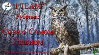 Сова о Главном. Олигопептидный пул №48 - аутизм у детей и взрослых. В. Полюдов. 13.06.2024