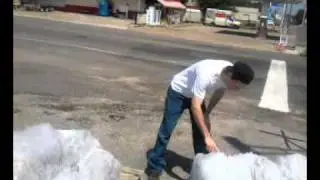 Licking the salt block in Grand Saline Texas