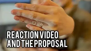 REACTION VIDEO AND THE PROPOSAL