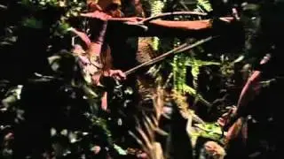 Peter Benchley's Amazon Ep20 2/4 [English]