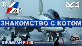 F-14B Tomcat Знакомство с Котом (DCS World) 