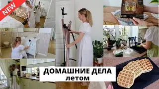 🧹 УБОРКА В ДОМЕ ЛЕТОМ| вафли из кабачков, полезные устройства для дома 🏠