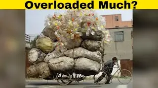 People Who Tried To Carry Too Much!