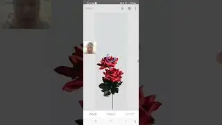 Como fazer posts longos no Instagram (1:3 - 1000x3000)