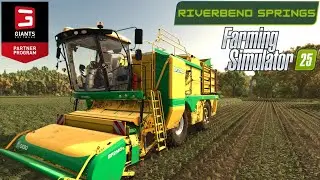 🌱Konečne zber FAZULE |Riverbend Springs| FARMING SIMULATOR 25 |EP8|