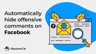 How to Automatically Hide Offensive Comments on Facebook (organic posts & ads) - NapoleonCat