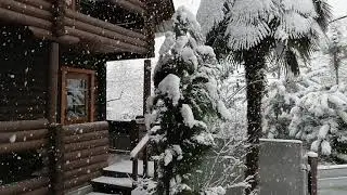 Отправить