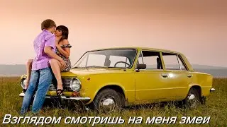 Взглядом смотришь на меня змеи, Шеваловский Александр