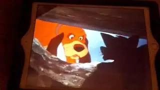 Chief chases Tod