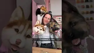 Идеальное решение в столь неидеальной ситуации ❤️