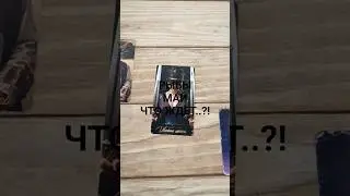 #РЫБЫ