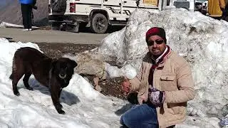 फ्री में मिलने वाला ये कुत्ता 🔥 कितना मजबूत है 😨😍😍