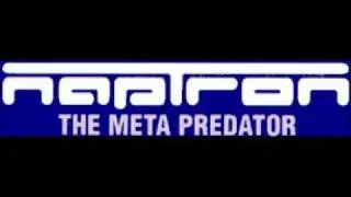 Naptron-Styles Of Madness