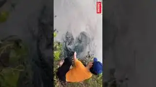 IKAN MONSTER//wanita sekil dewa tangkap ikan monster